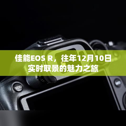 佳能EOS R，实时取景的魅力之旅，揭秘往年12月10日的精彩瞬间