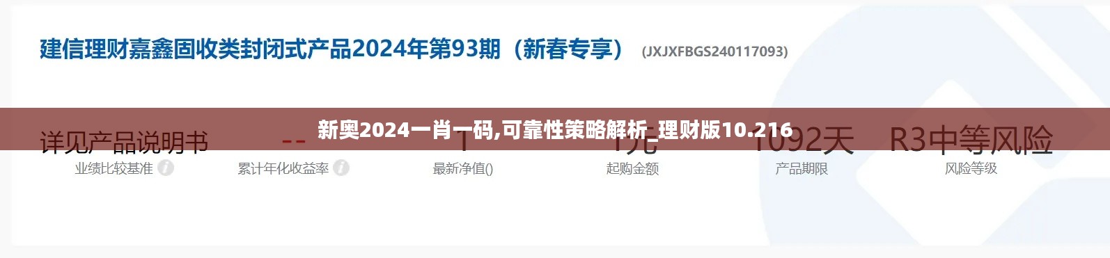 新奥2024一肖一码,可靠性策略解析_理财版10.216