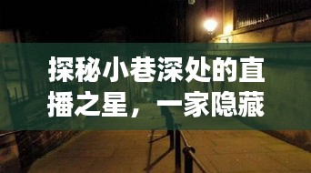 探秘小巷深处的直播之星，特色小店直播数据揭秘——12月10日钉钉实时直播观察