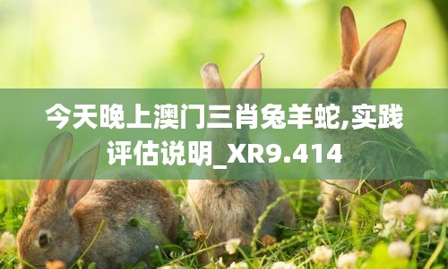 今天晚上澳门三肖兔羊蛇,实践评估说明_XR9.414