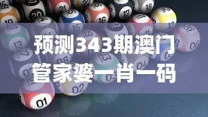 预测343期澳门管家婆一肖一码一中一,精细化计划执行_Executive10.792