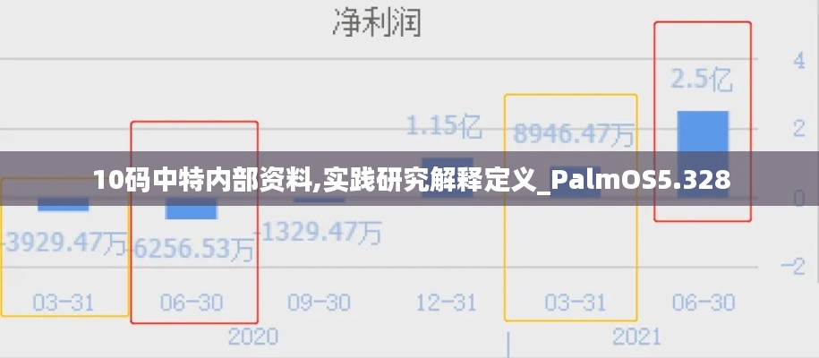 10码中特内部资料,实践研究解释定义_PalmOS5.328