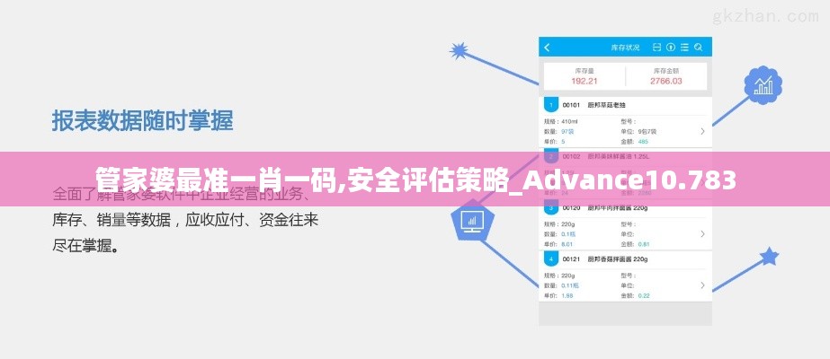 管家婆最准一肖一码,安全评估策略_Advance10.783