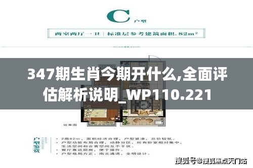 347期生肖今期开什么,全面评估解析说明_WP110.221