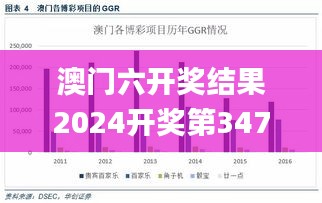 澳门六开奖结果2024开奖第347期,深度调查解析说明_GM版2.463