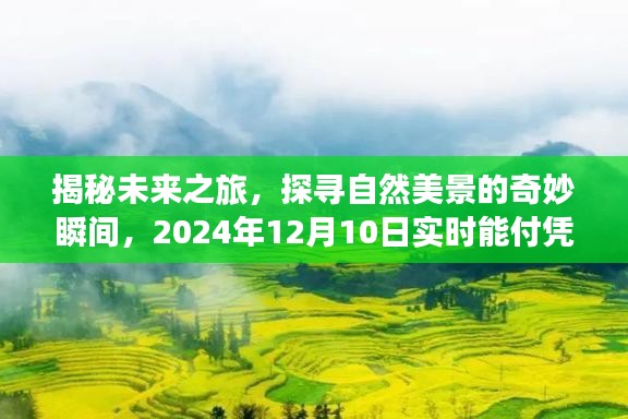 揭秘未来之旅，探寻自然美景的启示与实时能付凭证的神秘之旅（2024年12月10日）