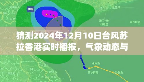 香港台风苏拉实时播报，气象动态与影响分析（预测日期，2024年12月10日）