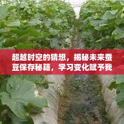 揭秘未来蚕豆保存秘籍，学习变化，探索时空的无限可能，赋予我们自信与力量