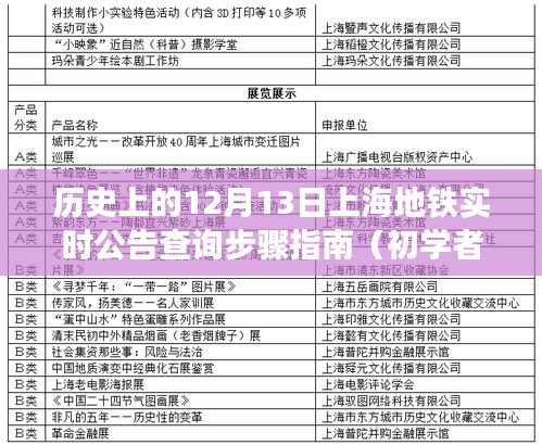 历史上的12月13日上海地铁实时公告查询步骤指南，适合初学者与进阶用户