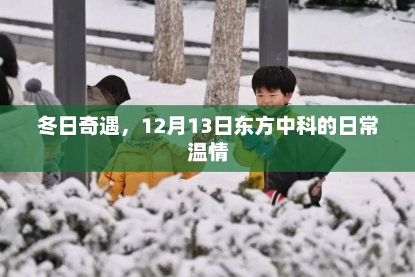 冬日奇遇，东方中科的日常温情记录（12月13日）