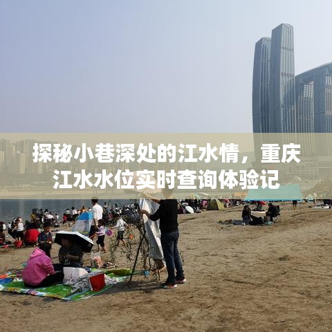 重庆小巷深处的江水情，实时水位查询深度体验记