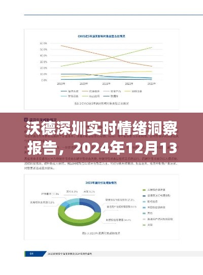 沃德深圳实时情绪洞察报告深度解析，2024年12月13日报告摘要