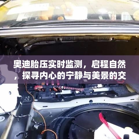 奥迪胎压实时监测，启程探寻心景交融之旅