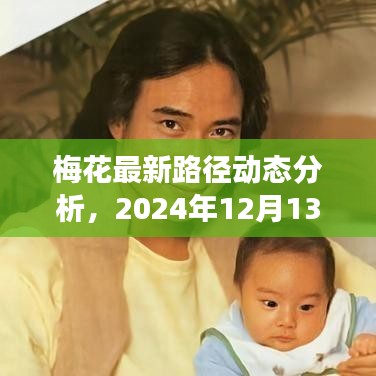 梅花最新路径动态分析，实时观察与解读（2024年12月13日）