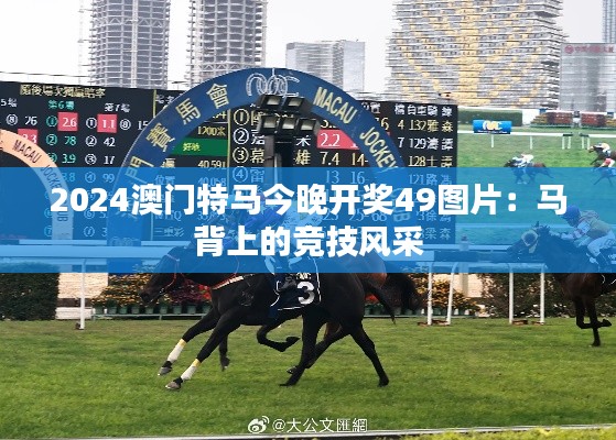 2024澳门特马今晚开奖49图片：马背上的竞技风采