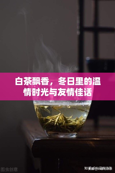 白茶飘香，冬日温情时光里的友情佳话