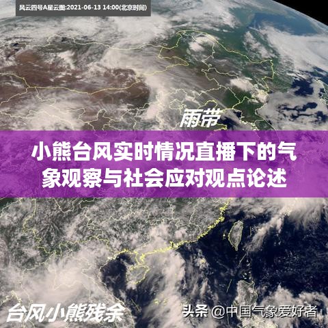 小熊台风实时直播观察，气象变化与社会应对策略分析