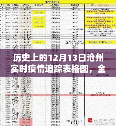 历史上的12月13日沧州实时疫情追踪概览与深度分析