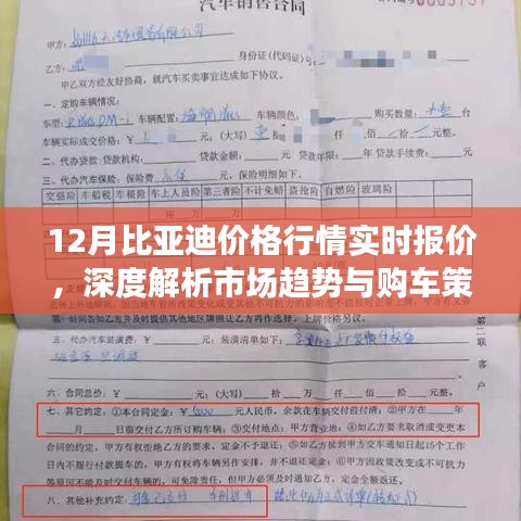 12月比亚迪实时价格行情解析，市场趋势深度洞察与购车策略指南