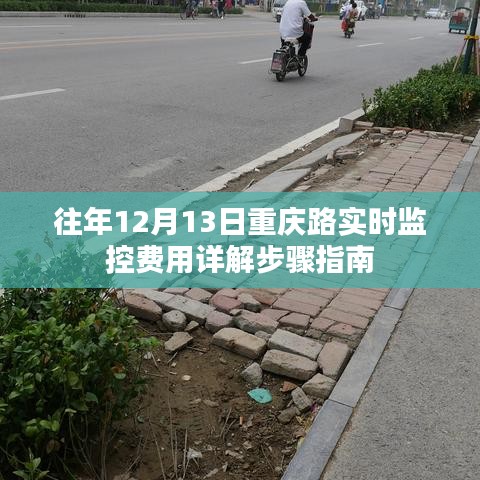 重庆路实时监控费用详解步骤指南及历年数据解析