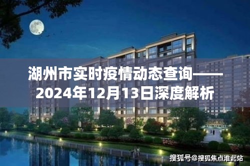 湖州市实时疫情动态深度解析报告，2024年12月13日最新数据发布