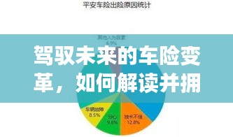 驾驭未来车险变革，拥抱新纪元，解读实时生效车险政策新动向（2024年12月13日）