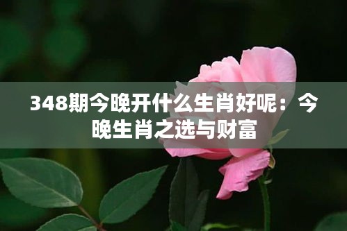 348期今晚开什么生肖好呢：今晚生肖之选与财富