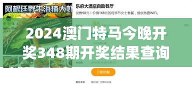 2024澳门特马今晚开奖348期开奖结果查询 - 马迷视角：今晚的潜力黑马