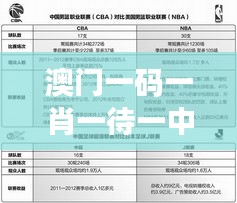 澳门一码一肖一待一中四不像348期：技术分析带来的新视角