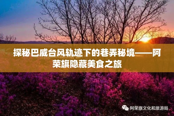 巴威台风轨迹下的巷弄秘境，阿荣旗美食探秘之旅