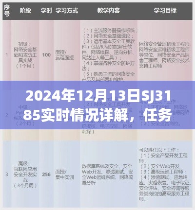 2024年SJ3185实时情况详解与任务完成指南，初学者与进阶用户技能学习手册