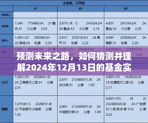 如何预测并理解基金实时估值，初学者与进阶用户指南（2024年12月13日）