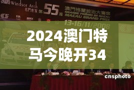 2024澳门特马今晚开349期开奖揭晓：赛马界的星光熠熠之夜