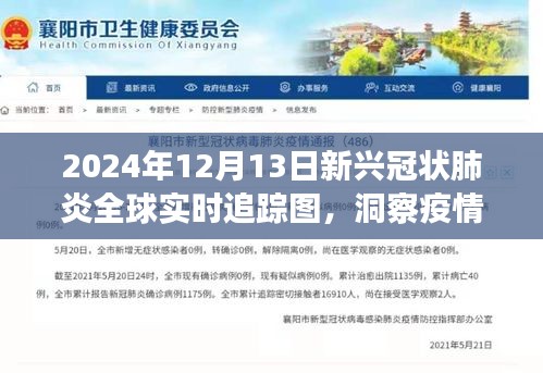 新兴冠状肺炎全球实时追踪图，洞察疫情发展，共筑健康防线（2024年12月13日更新）