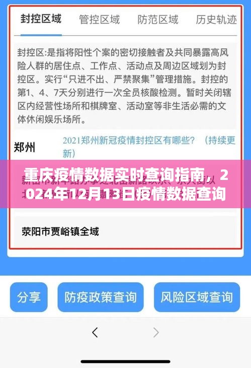 重庆疫情实时查询指南，初学者与进阶用户适用的疫情数据查询步骤详解（截至2024年12月13日）