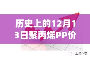 逆风翱翔，聚丙烯PP价格震荡中的励志故事与自信成就之路