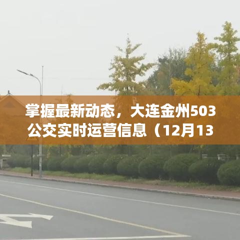 大连金州503公交实时运营信息更新（最新动态，截至12月13日）