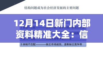 12月14日新门内部资料精准大全：信息时代的智囊团