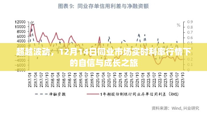 超越波动，实时利率行情下的自信成长之旅（12月14日同业市场观察）