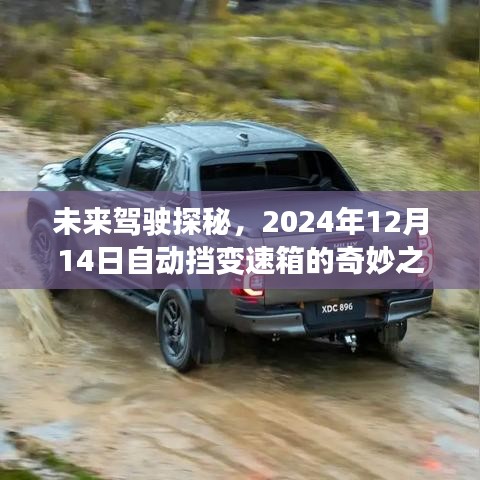 未来驾驶探秘，自动挡变速箱的奇妙之旅（2024年12月14日）