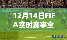 FIFA实时赛事评测与介绍，12月14日全面解读