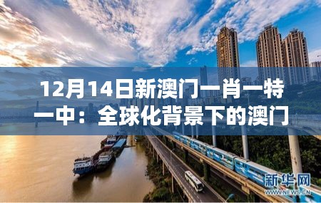 12月14日新澳门一肖一特一中：全球化背景下的澳门定位