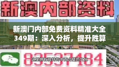 新澳门内部免费资料精准大全349期：深入分析，提升胜算