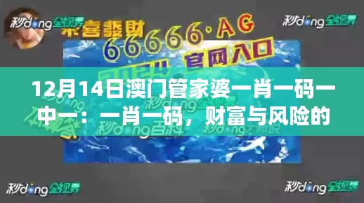 12月14日澳门管家婆一肖一码一中一：一肖一码，财富与风险的平衡术