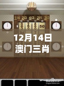 12月14日澳门三肖三码精准100%黄大仙＂：黄大仙的数字游戏