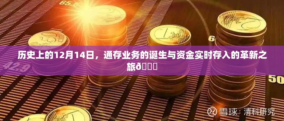 💸 12月14日历史上的通存业务诞生与资金实时存入的革新之旅🌟