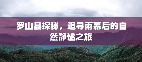 罗山县雨幕后的自然静谧之旅探秘