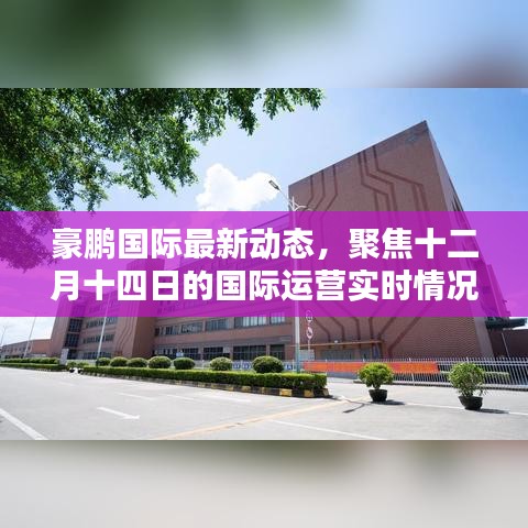 豪鹏国际十二月十四日国际运营实时动态概览