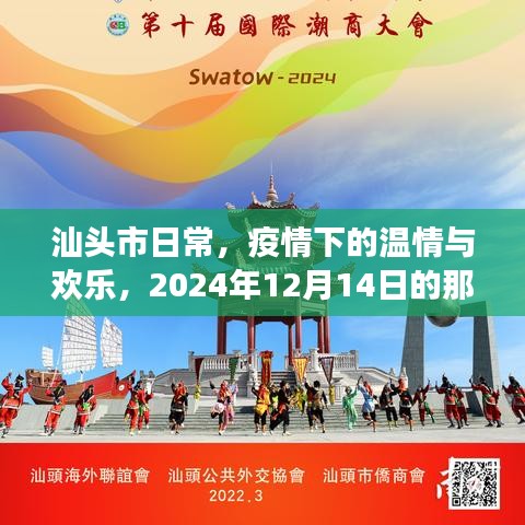 汕头市日常，疫情下的温情与欢乐，记录2024年12月14日的瞬间