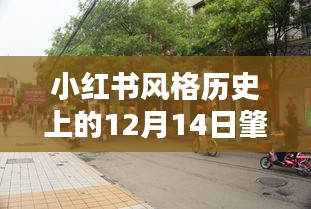 小红书风格下的肇庆街道实时路况揭秘，历史视角下的12月14日深度剖析